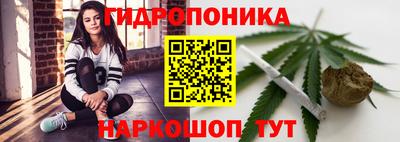 шишки Малоярославец