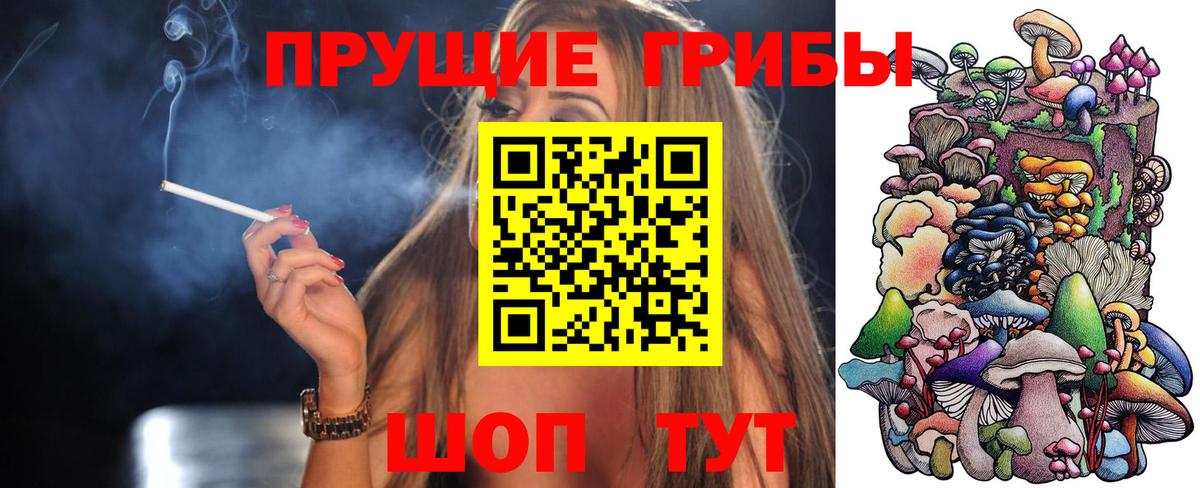 Галлюциногенные грибы Psilocybine cubensis  Вход с VPN  Холмск  Галлюциногенные грибы MAGIC MUSHROOMS 